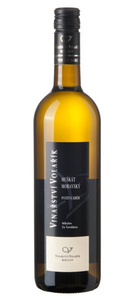 Müller Thurgau - pozdní sběr 2024