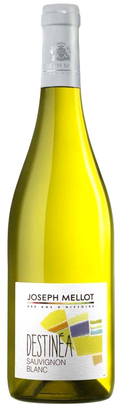 Sauvignon Destinea