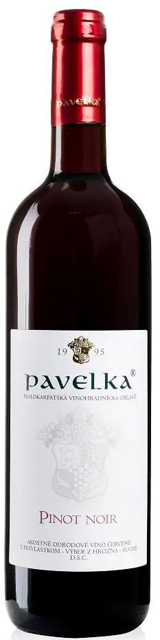 Pinot noir - vyběr z hroznů 2021